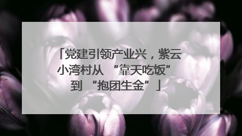 党建引领产业兴，紫云小湾村从 “靠天吃饭” 到 “抱团生金”