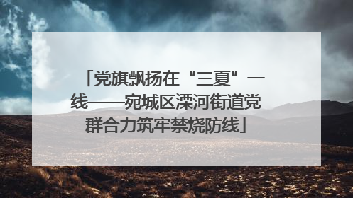 党旗飘扬在“三夏”一线——宛城区溧河街道党群合力筑牢禁烧防线