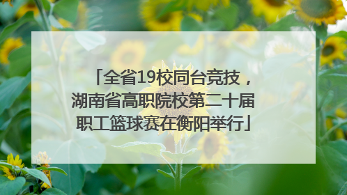 全省19校同台竞技，湖南省高职院校第二十届职工篮球赛在衡阳举行