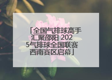 全国气排球高手汇聚邵阳 2025气排球全国联赛西南赛区启幕