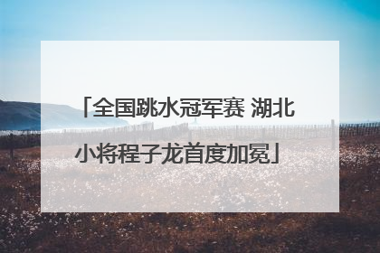 全国跳水冠军赛 湖北小将程子龙首度加冕