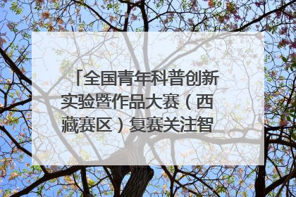 全国青年科普创新实验暨作品大赛（西藏赛区）复赛关注智慧环保等主题