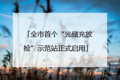 全市首个“光储充放检”示范站正式启用
