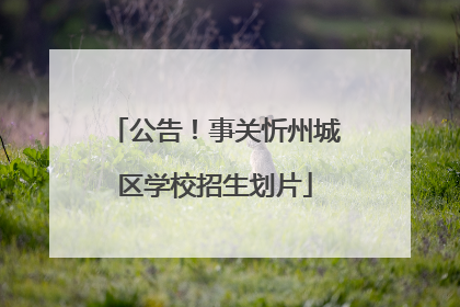 公告！事关忻州城区学校招生划片