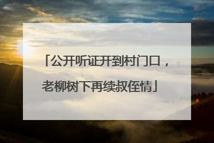 公开听证开到村门口，老柳树下再续叔侄情