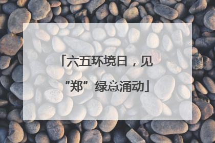 六五环境日，见“郑”绿意涌动