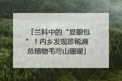 兰科中的“显眼包”！内乡发现珍稀濒危植物毛萼山珊瑚