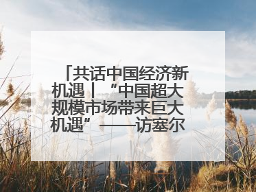 共话中国经济新机遇丨“中国超大规模市场带来巨大机遇”——访塞尔维亚经济部国务秘书尼科利奇