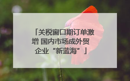 关税窗口期订单激增 国内市场成外贸企业“新蓝海”