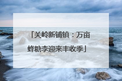关岭新铺镇：万亩蜂糖李迎来丰收季