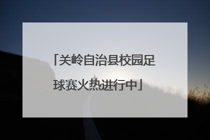 关岭自治县校园足球赛火热进行中