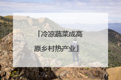 冷凉蔬菜成高原乡村热产业