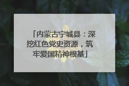内蒙古宁城县：深挖红色党史资源，筑牢爱国精神根基