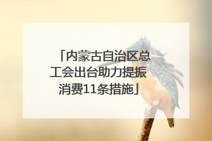 内蒙古自治区总工会出台助力提振消费11条措施