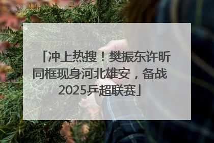 冲上热搜！樊振东许昕同框现身河北雄安，备战2025乒超联赛