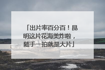 出片率百分百！昆明这片花海美炸啦，随手一拍就是大片