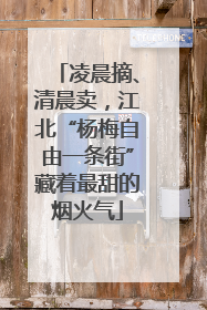 凌晨摘、清晨卖，江北“杨梅自由一条街”藏着最甜的烟火气