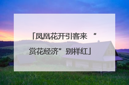 凤凰花开引客来 “赏花经济”别样红
