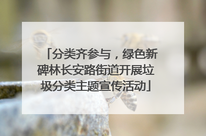 分类齐参与，绿色新碑林长安路街道开展垃圾分类主题宣传活动