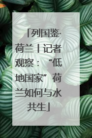 列国鉴·荷兰丨记者观察：“低地国家”荷兰如何与水共生