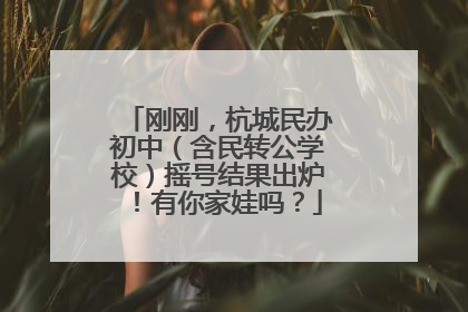 刚刚，杭城民办初中（含民转公学校）摇号结果出炉！有你家娃吗？