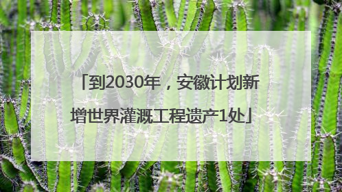 到2030年，安徽计划新增世界灌溉工程遗产1处