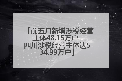 前五月新增涉税经营主体48.15万户 四川涉税经营主体达534.99万户