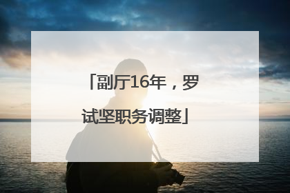 副厅16年，罗试坚职务调整