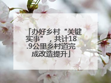 办好乡村“关键实事”，共计18.9公里乡村道完成改造提升
