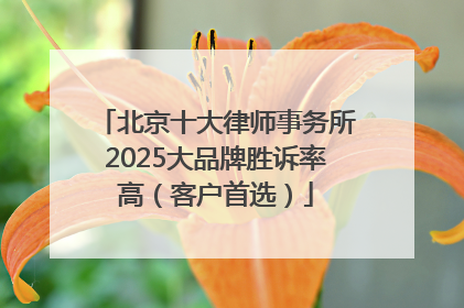北京十大律师事务所2025大品牌胜诉率高（客户首选）