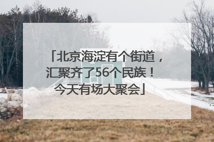北京海淀有个街道，汇聚齐了56个民族！今天有场大聚会