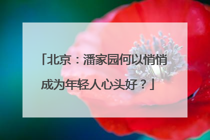 北京：潘家园何以悄悄成为年轻人心头好？