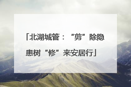 北湖城管：“剪”除隐患树“修”来安居行
