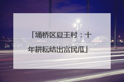 埇桥区夏王村：十年耕耘结出富民瓜