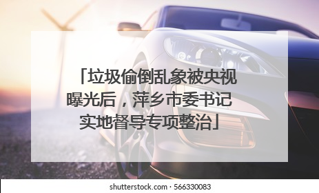 垃圾偷倒乱象被央视曝光后，萍乡市委书记实地督导专项整治