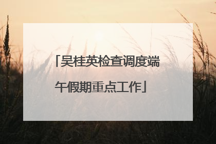 吴桂英检查调度端午假期重点工作