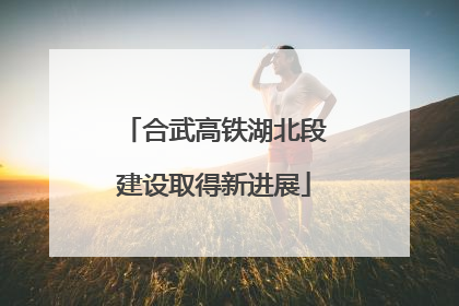 合武高铁湖北段建设取得新进展