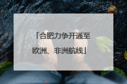 合肥力争开通至欧洲、非洲航线