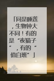 同是睡莲，生物钟大不同！有的是“夜猫子”，有的“值白班”