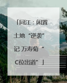 同江：闲置土地“逆袭”记 万寿菊“C位出道”