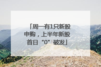 周一有1只新股申购，上半年新股首日“0”破发