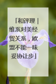 和评理｜维系对美经贸关系，欧盟不能一味妥协让步