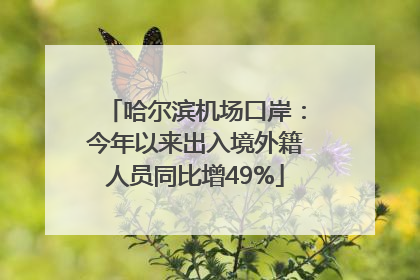 哈尔滨机场口岸：今年以来出入境外籍人员同比增49%