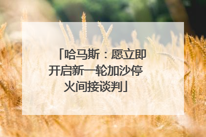 哈马斯：愿立即开启新一轮加沙停火间接谈判