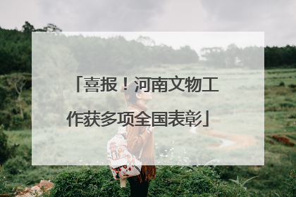 喜报！河南文物工作获多项全国表彰