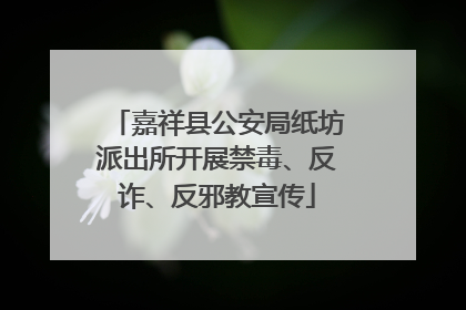 嘉祥县公安局纸坊派出所开展禁毒、反诈、反邪教宣传