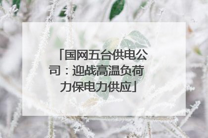 国网五台供电公司：迎战高温负荷 力保电力供应