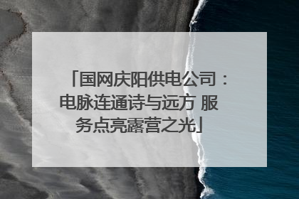 国网庆阳供电公司：电脉连通诗与远方 服务点亮露营之光