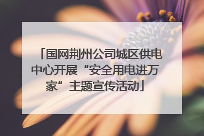 国网荆州公司城区供电中心开展“安全用电进万家”主题宣传活动
