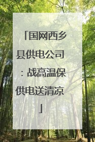 国网西乡县供电公司：战高温保供电送清凉